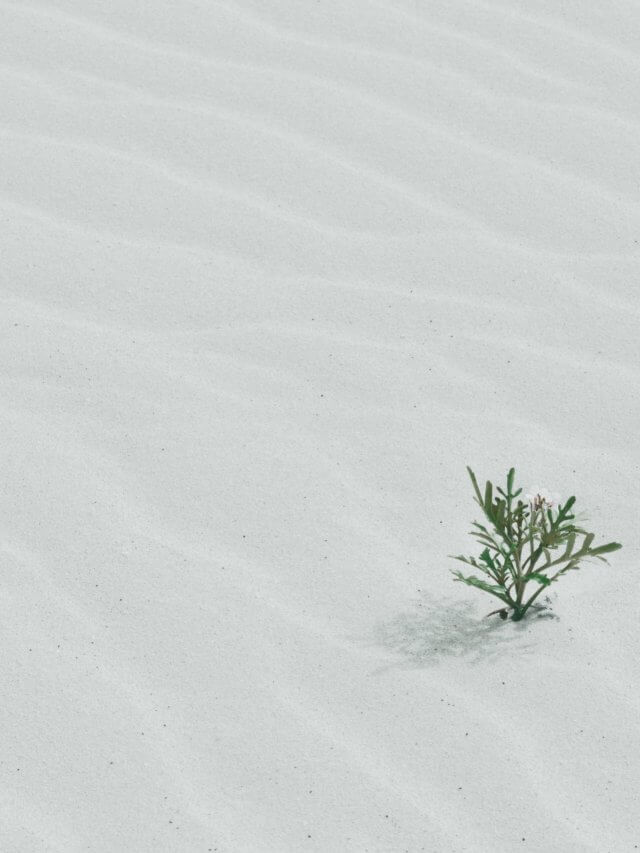 cropped-jill-heyer-03ztkGdYWU8-unsplash-scaled-1.jpg